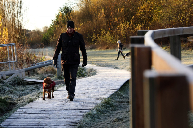 Dog walking in Preston Park