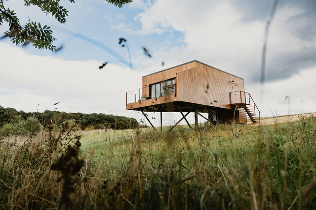 Nuthatch Treehouse