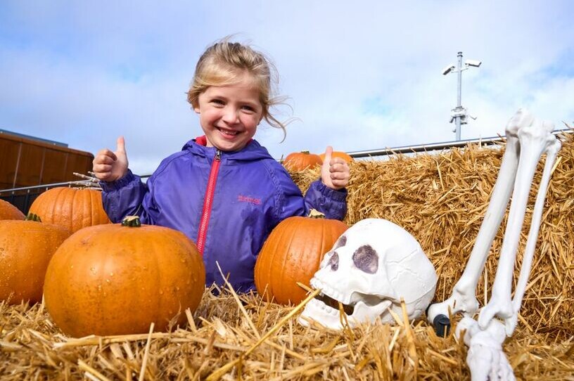 Halloween Family Fun Day!