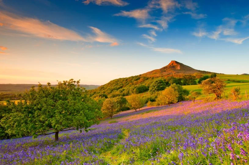 Roseberry Topping | Tees Valley Combined Authority