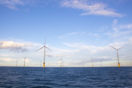Tees Valley Offshore Wind Farm | Tees Valley Combined Authority